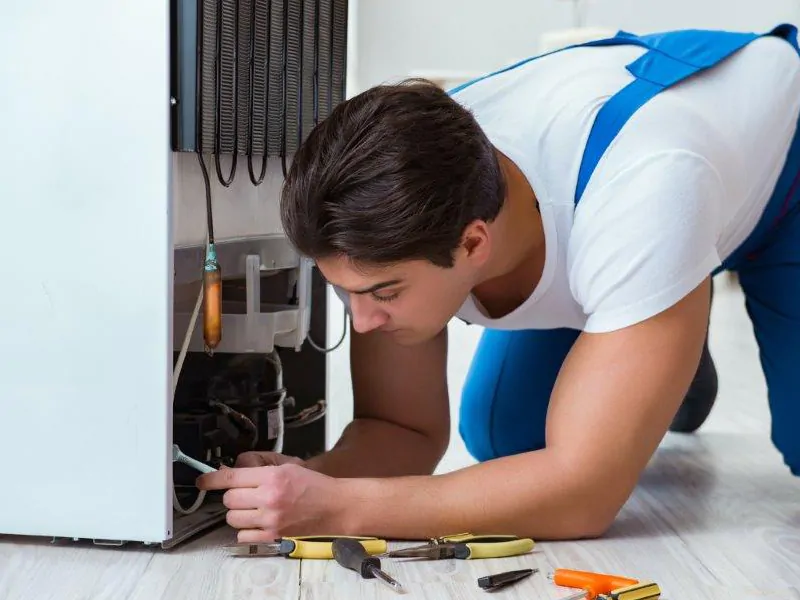 Que servicios tecnicos ofrecen las reparaciones mas rapidas electrodomesticos - &iquest;Qu&eacute; servicios t&eacute;cnicos ofrecen las reparaciones m&aacute;s r&aacute;pidas para electrodom&eacute;sticos?