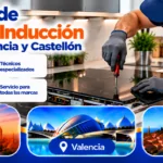 Reparación de Frigoríficos y Neveras en Barcelona, Valencia y Castellón Reparacion de cocinas de induccion en Espana 150x150 - Reparación de Frigoríficos y Neveras en Barcelona, Valencia y Castellón